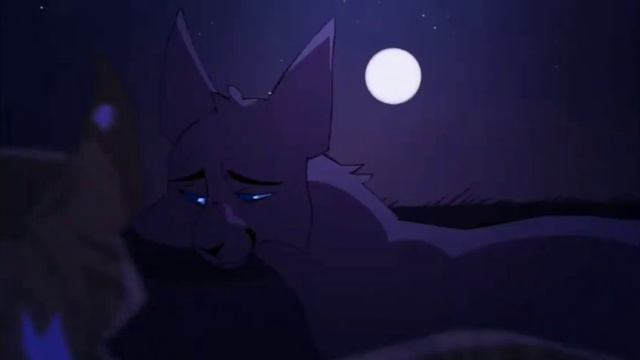 Коты-Воители/Грачик и Ласточка клип/✨Вредина✨(заказ @skystar158 смотреть онлайн