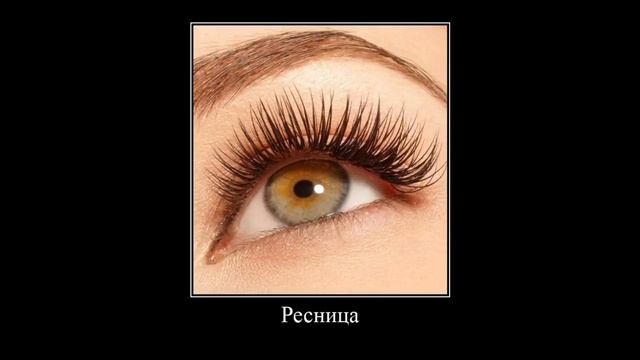 Самые смешные русские слова смотреть онлайн