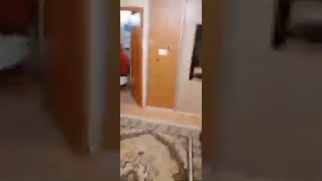 VID 20220324 WA0013 смотреть онлайн