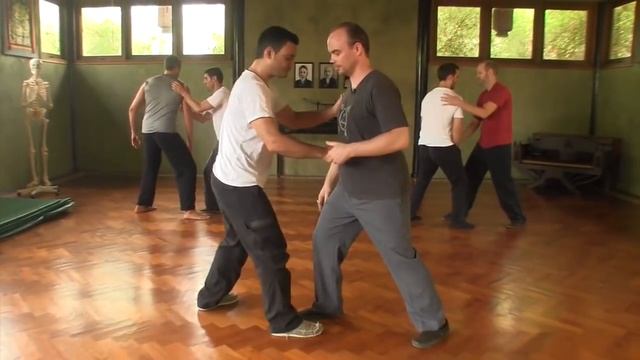 Taichi 7 Point Push Neutralize (Hua) and Issue (Fa) Levels by Sifu Adam Mizner (2015) смотреть онлайн