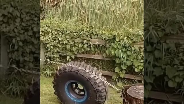 شاهد كيف يتم إقتلاع الشجرة من جذورها(480P).mp4