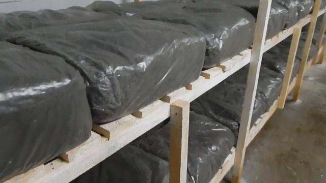 ВЫРАЩИВАНИЕ ШАМПИНЬОНОВ. Компост второй фазы (фаза 2). смотреть онлайн