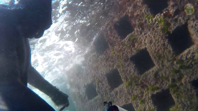 Подводная охота ЮБК 22 02 2015 смотреть онлайн