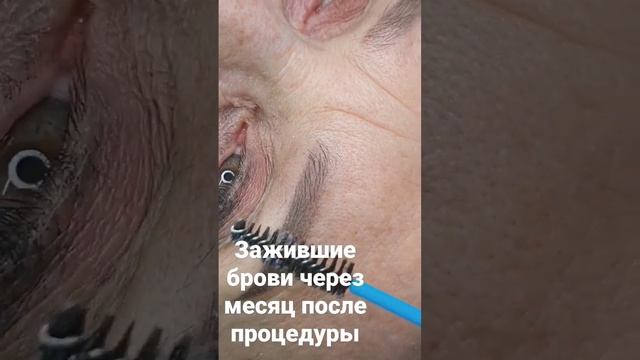 перманентный макияж бровей, остаток через месяц после первой процедуры #напыление смотреть онлайн