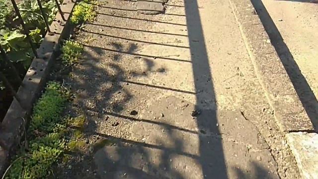 Влог из Абхазии на горной реке Гумиста смотреть онлайн