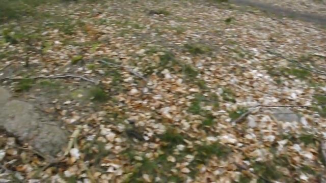 Hornbæk Plantage langdysse 1 смотреть онлайн