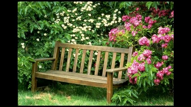 мой садик. Плещеев А.Н. смотреть онлайн