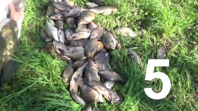 Антибрак Кострома 2014 смотреть онлайн