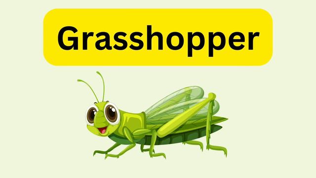 Insects name | Insects for kids | Insects | Insects name in English | kid’s venture | смотреть онлайн