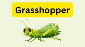 Insects name | Insects for kids | Insects | Insects name in English | kid’s venture |