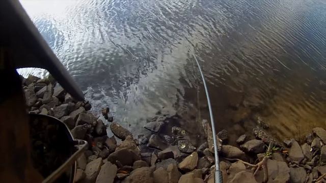 Jacks LOVE Cotton Candy Tracershot Jigs! смотреть онлайн