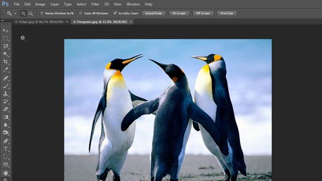 Adobe Photoshop CS6 Tutorial - 1 - User Interface смотреть онлайн