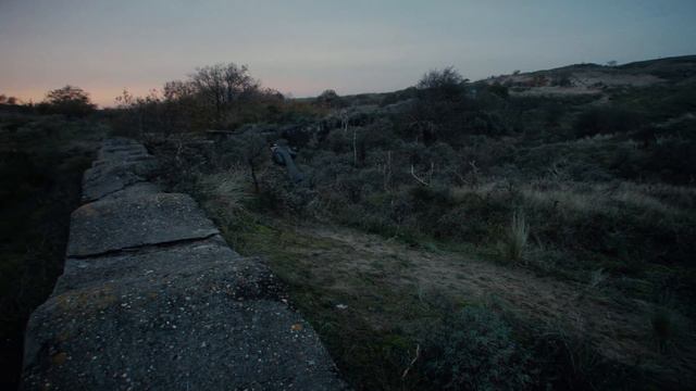 Cartoon Cat Vs Cartoon Dog