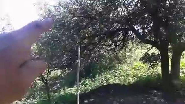 Строим яму для кроликов №8 (роботаем дальше) смотреть онлайн