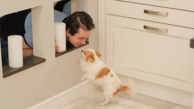 Что такое современная свадьба? Вся правда современности! (свадьба наоборот) смотреть онлайн