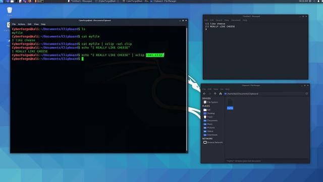 How To Copy/Paste With The Terminal (Linux Tutorial)