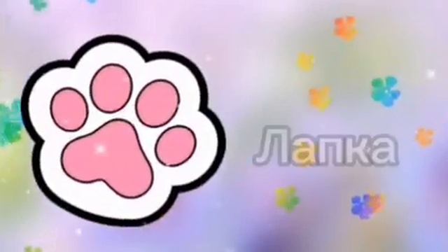 Клиперсы. Вся коллекция клиперсы. Акция Дикси