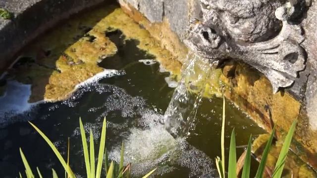 Sony NEX-C3 Sample Video 2 720p смотреть онлайн