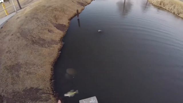 Winter Fishing with Gulp Minnows | High-Speed Police Action! смотреть онлайн