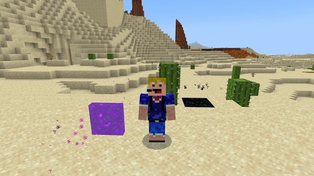 Minecraft Bedrock 1.20 - All Secret Blocks & Items (Mobile/Xbox/PS/Switch) [4/8] смотреть онлайн