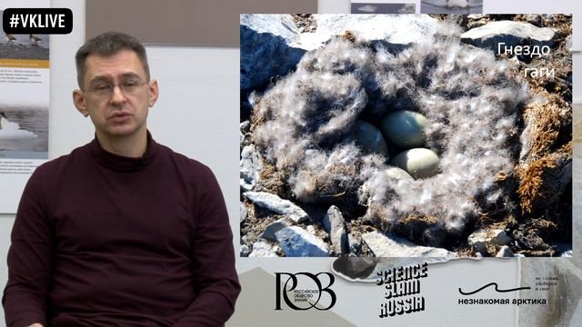 Иван Мизин: "Птицы полярных пустынь" смотреть онлайн