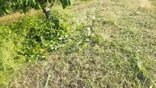 Есть ли смысл покупать дорогой победитовый диск? смотреть онлайн