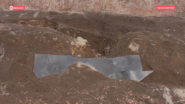 Козельский полигон снова обследовали смотреть онлайн