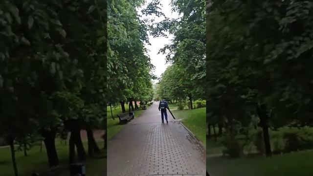 Воронцовский парк утренний грохот