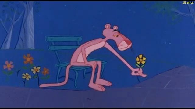 Sweet Caroline with Dark Academia FULL TikTok Remix смотреть онлайн