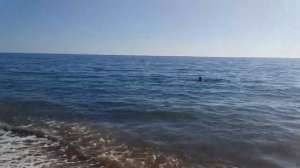 Пляж санатория «Прогресс» Сочи.