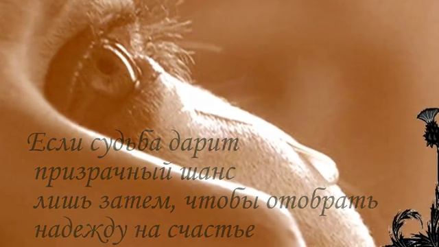 Буктрейлер романа Варвары Шихаревой "Чертополох" смотреть онлайн