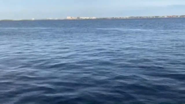 Tatiana Themis: Набережная Саратова14.05.22