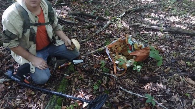 Белые грибы с АКА Сигнум МФД 7272... :)