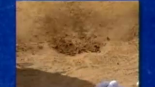 Microsoft Golf 3.0 Advertisement смотреть онлайн