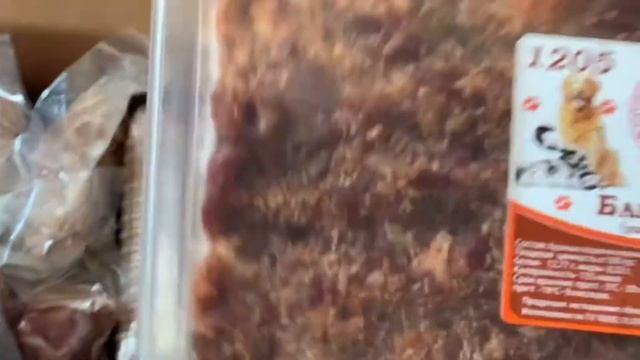 Американский булли, Рокки перестал есть сухой корм смотреть онлайн