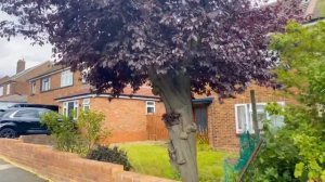 КАК ЖИВЕТ СРЕДНИЙ КЛАСС В ЛОНДОНЕ? Реальная жизнь в Англии сегодня. Влог из Лондона август 2023