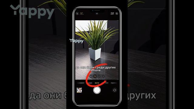 Фишки камеры iPhone 15 Pro/Pro Max смотреть онлайн