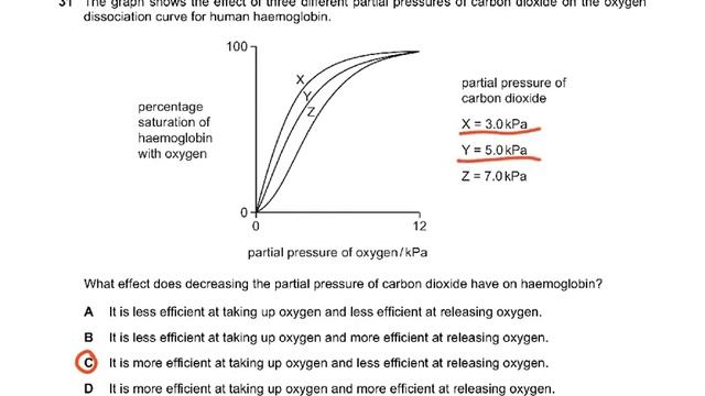 BIOLOGY 9700 MCQ смотреть онлайн