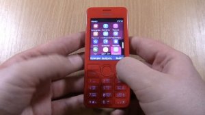 Nokia 206 incoming call