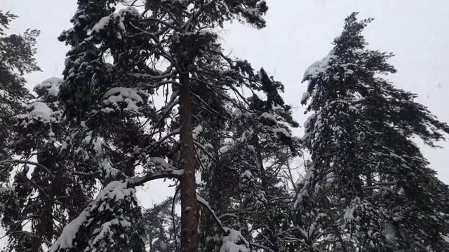 Москва'зима смотреть онлайн