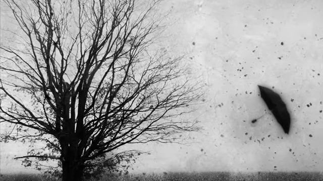 Deep PurpLe Lalena (вольный рифмованный перевод)