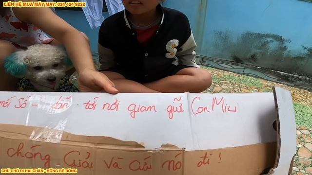 TẬP 31: PHÁT HIỆN MANH MỐI VỀ 2 CON "DIỀU MA" ĐỂ TÌM TỚI NƠI CỨU SU KHỎI BỊ BÁN QUA TRUNG QUỐC смотреть онлайн