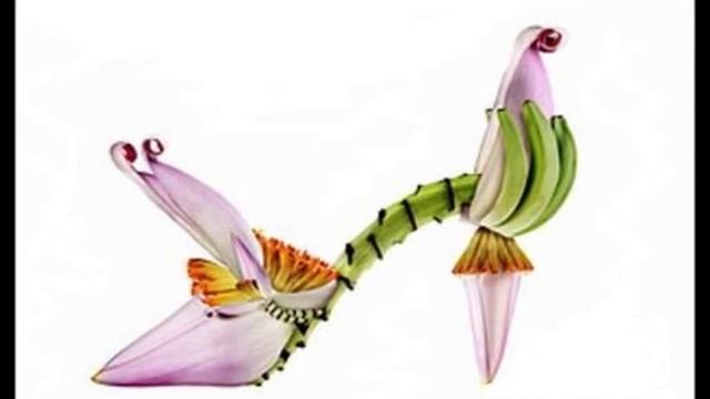 Необычные туфли - туфли из цветов. Обувная коллекция туфель, сделанная из цветов