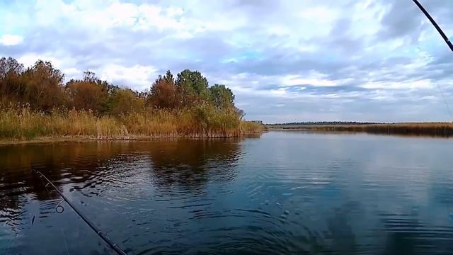 ЩУКА ПОЗДНЕЙ ОСЕНЬЮ 2017 ВОБЛЕРЫ Рыбалка на Кубани смотреть онлайн