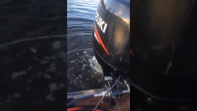 Лодка Крым + Suzuki df40 4 такта 2020 новый комплект смотреть онлайн