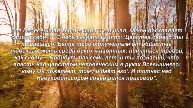 Книга «Борьба и мужество: Навуходоносор унижен» (Элен Уайт) (глава 9.4) смотреть онлайн