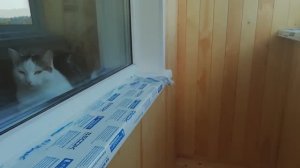 Обшивка балкона евровагонкой