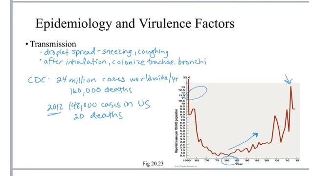 Chapter 20 Pertussis Leonard GVSU смотреть онлайн