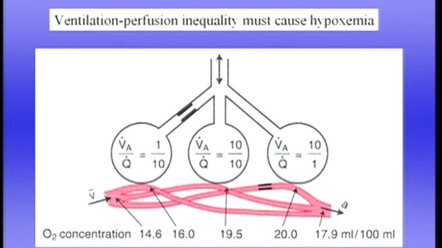 8_Pulmonary Gas Exchange-Part II