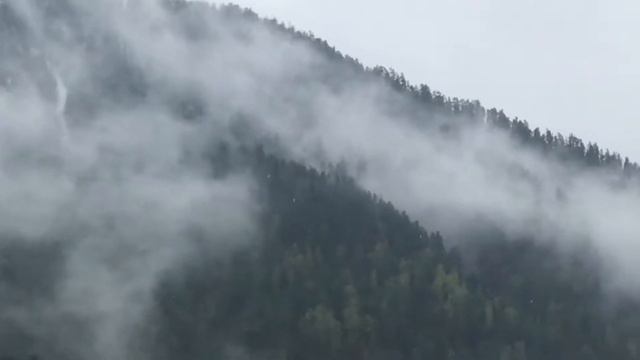 Чёрный тополь. Виды гор смотреть онлайн